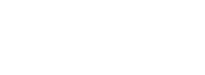 trusted choice insurance agent